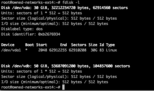 fdisk -l output showing available disks